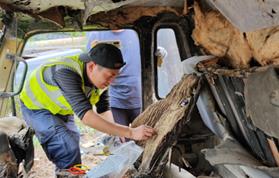 机动车起火原因鉴定